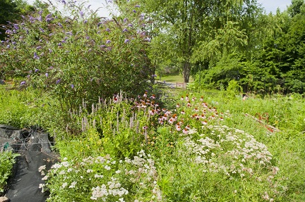 beautiful outdoor scenery