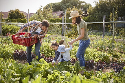 a family working together in the garden