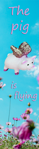 Web Banner 1